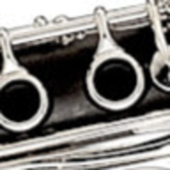 Meet your Posher, Deborah - Picture 1 of 1